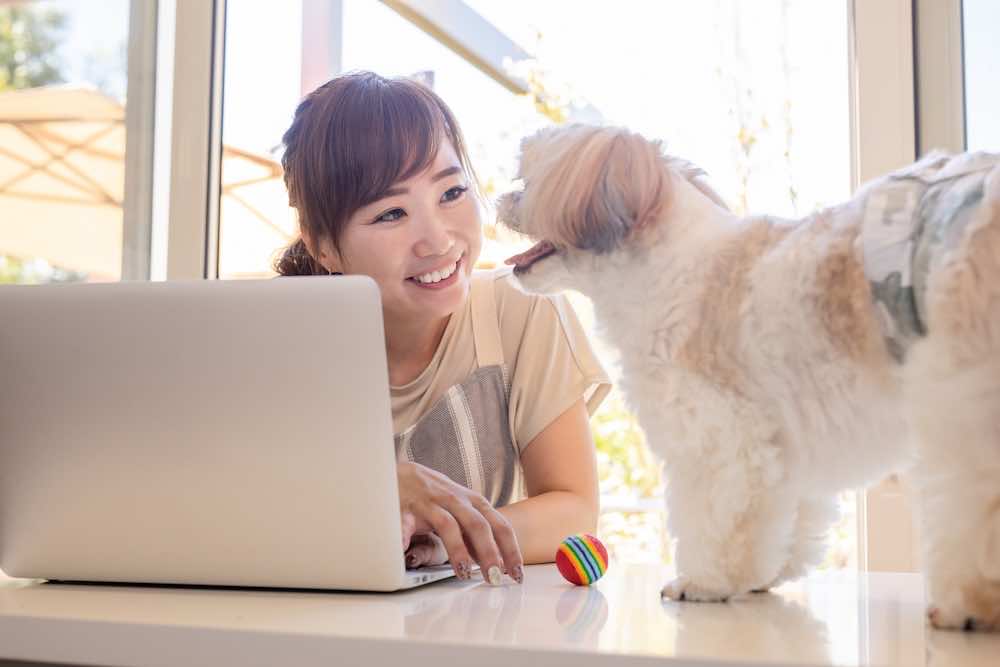 犬のブリーダーの仕事内容とは？基本知識や飼育管理など徹底解説