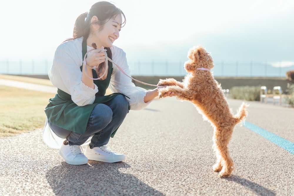 動物に関わる仕事がしたい！種類や向いている人の特徴を紹介